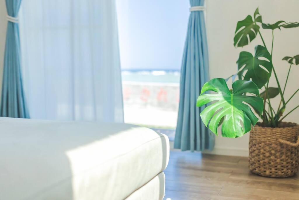Villa 石垣島一棟貸し 潮 Ishigaki  Exterior foto